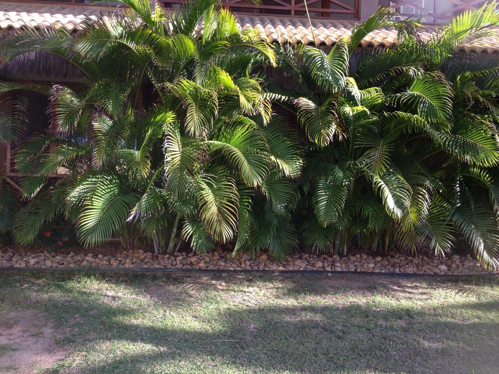 Eco Flecheiras Residence Exterior foto